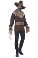 ハロウィンコスチューム/衣装 California Costumes California Costumes LCC01415