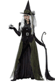 ハロウィンコスチューム/衣装 California Costumes California Costumes LCC01428