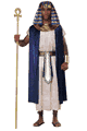 ハロウィンコスチューム/衣装 California Costumes California Costumes LCC5220-005