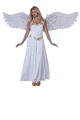 羽 コスチューム California Costumes LCC6226-047