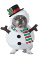 サンタ・クリスマス衣装 California Costumes LCCPET20154
