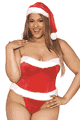 サンタ・クリスマス衣装 Dreamgirl LDG12654X