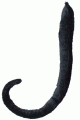 Forum Novelties ハロウィンコスチューム/衣装 Forum Novelties LFN25163