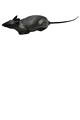 Forum Novelties ハロウィンコスチューム/衣装 Forum Novelties LFN70357