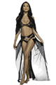 ショーコスチューム Roma Costume LRB6613